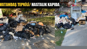 Kartal'da Biriken Çöplere, Vatandaş da Esnaf da Tepkili!