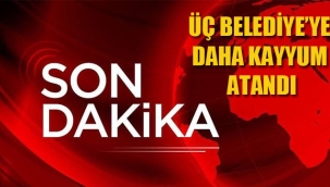 Üç Belediye'ye Daha "Kayyum" Atandı