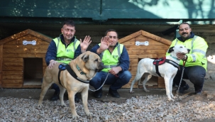 İETT'nin Patili Dostlar Ailesi Büyüyor