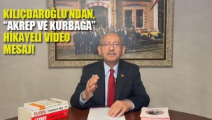 Kılıçdaroğlu'ndan, "Akrep ve Kurbağa" Hikayeli Video Mesaj