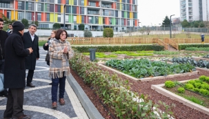 Maltepe Belediyesi "Çocuk Tarım Parkı" Hizmete Açılmaya Hazırlanıyor