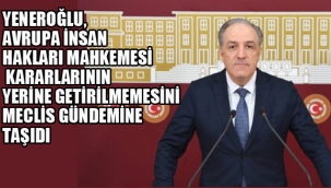 Yeneroğlu, AİHM Kararlarının Yerine Getirilmemesini Meclis Gündemine Taşıdı