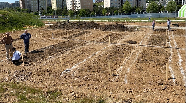 İstanbul'da Halk Bostanları Sevdi