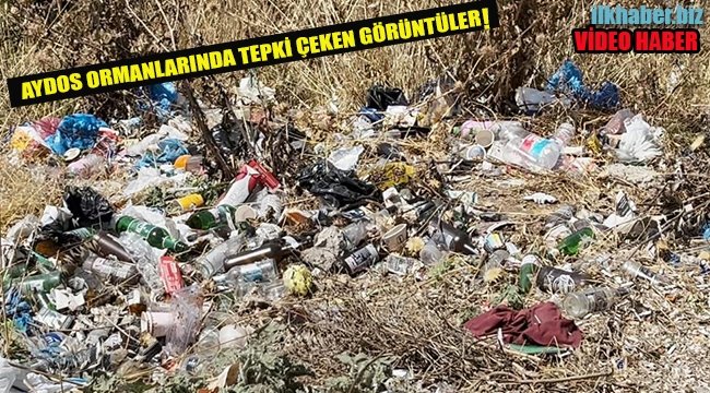 Aydos Ormanlarında, Tepki Çeken Görüntüler!