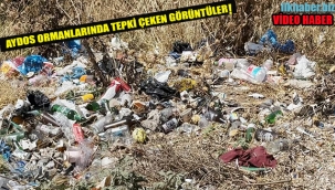 Aydos Ormanlarında, Tepki Çeken Görüntüler!