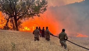 Bakan Yerlikaya'dan Orman Yangınları İle İlgili Açıklama