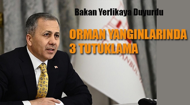 Orman Yangınlarında 3 Tutuklama