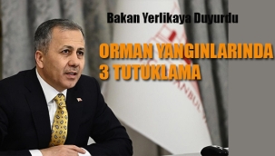 Orman Yangınlarında 3 Tutuklama