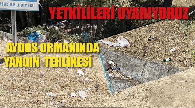 Yetkilileri Uyarıyoruz: Aydos Ormanında Yargın Tehlikesi