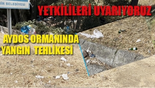 Yetkilileri Uyarıyoruz: Aydos Ormanında Yargın Tehlikesi