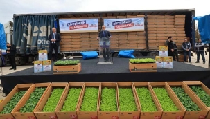 İBB'den Arı Yemi ve Kışlık Sebze Fidesi Dağıtımı