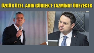 Özgür Özel Akın Gürlek'e Tazminat Ödeyecek