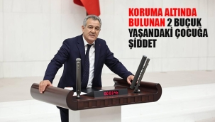 Iğdır'da, Koruma Altında ki 2 Buçuk Yaşında ki Çocuğa Şiddet, Meclise Taşındı