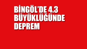 Bingöl'de Deprem
