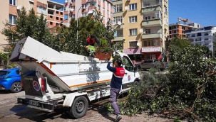 Yalı Mahallesi'nde Bahar Temizliği