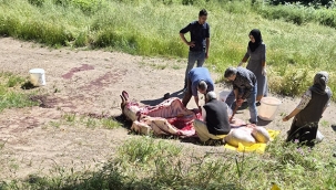 Maltepe'de Kaçak Kurban Kesimine Sıkı Denetim