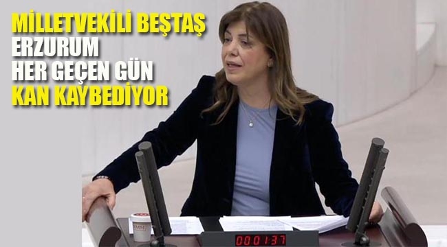 Milletvekili Beştaş "Erzurum Her Geçen Gün Kan Kaybediyor"