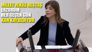 Milletvekili Beştaş "Erzurum Her Geçen Gün Kan Kaybediyor"