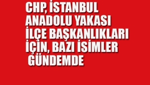 CHP'de İlçe Başkanlıkları İçin Bazı İsimler Gündemde 